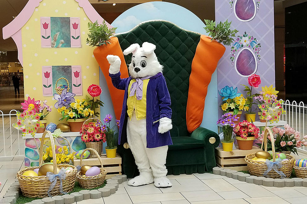 Take Pictures With The Easter Bunny At Crossroads Center