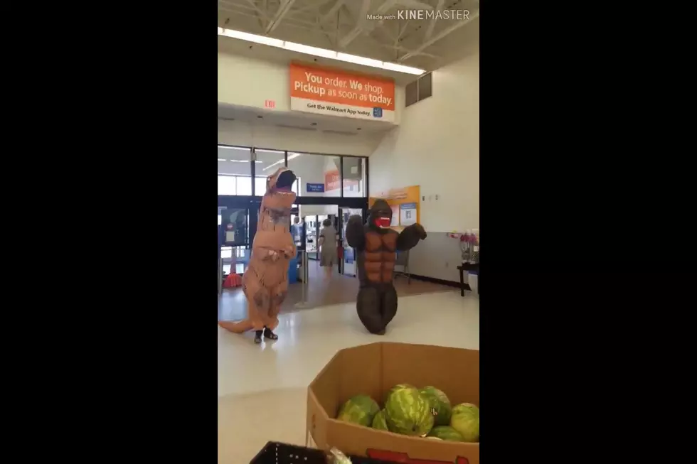Fergus Falls Moms Go Viral for Shopping Dressed as T-rex, Gorilla