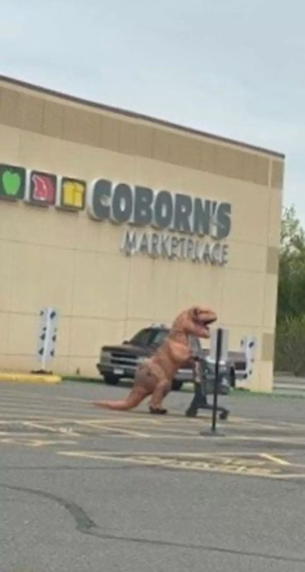 Benton County Sheriff&#8217;s Office Responds to Dinosaur Complaint