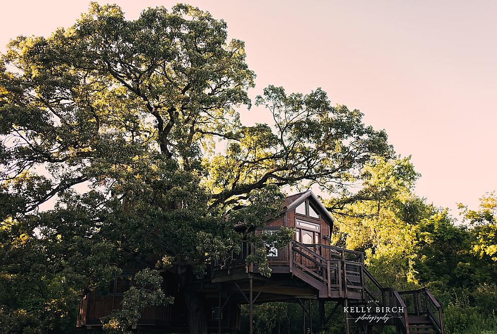 Stay In This Amazing 4 Level Cottage Grove Tree House