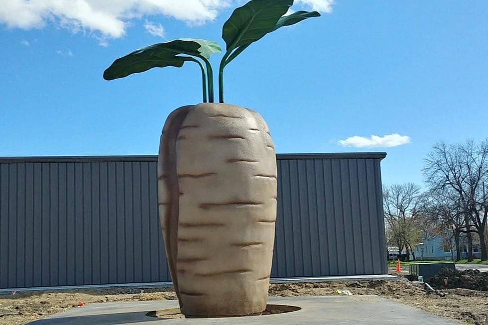 The World's Largest Sugar Beet is Just Three Hours from St. Cloud