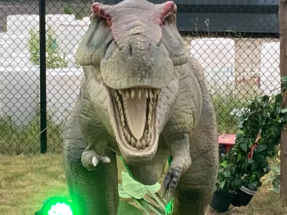 Huge ‘Dino Stroll’ Event Coming To Minneapolis In July