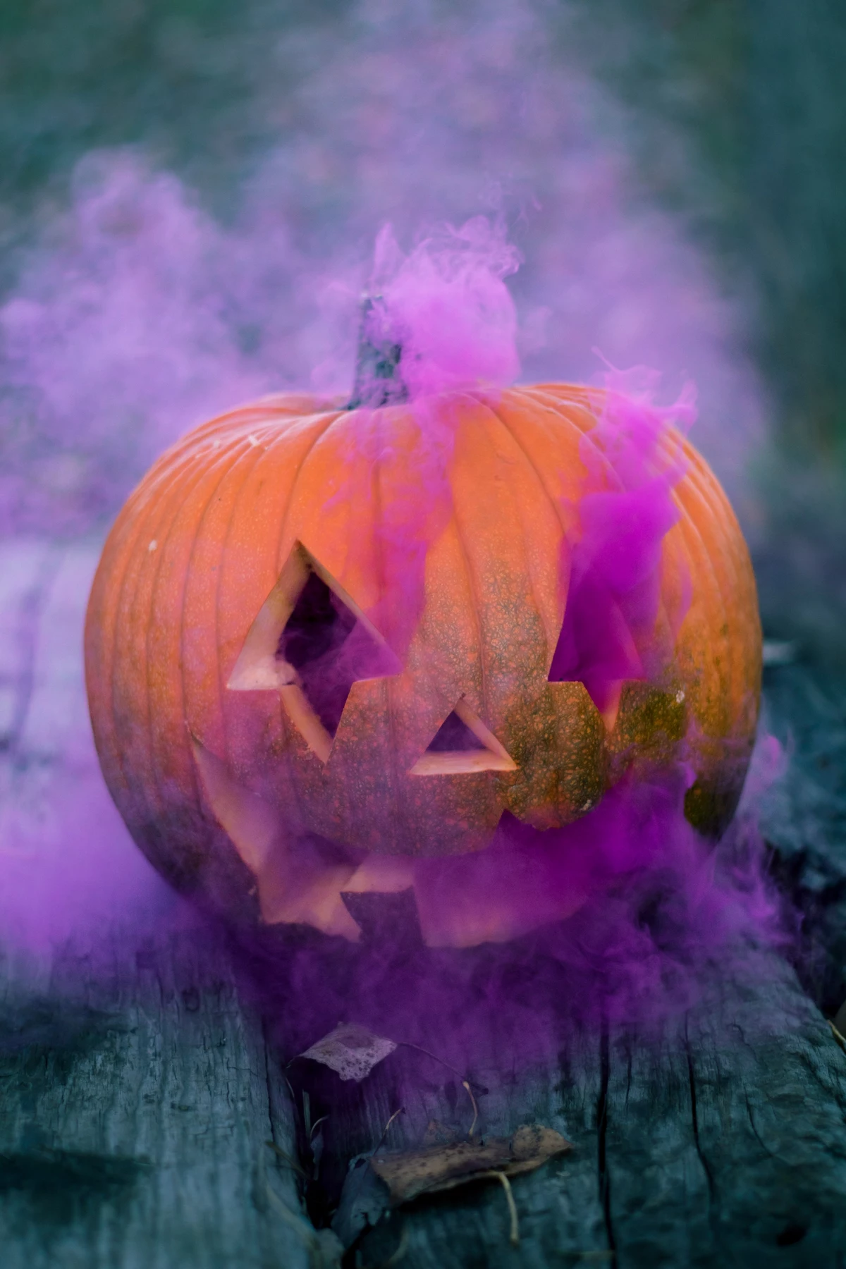 Here's What 'Purple Pumpkins' Mean for Minnesotans This Year