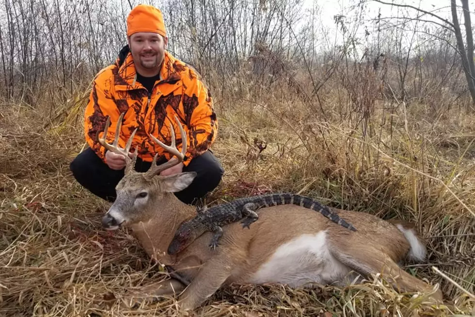 MN Hunter Bags a 3-Foot Long&#8230;Alligator? [Photos]