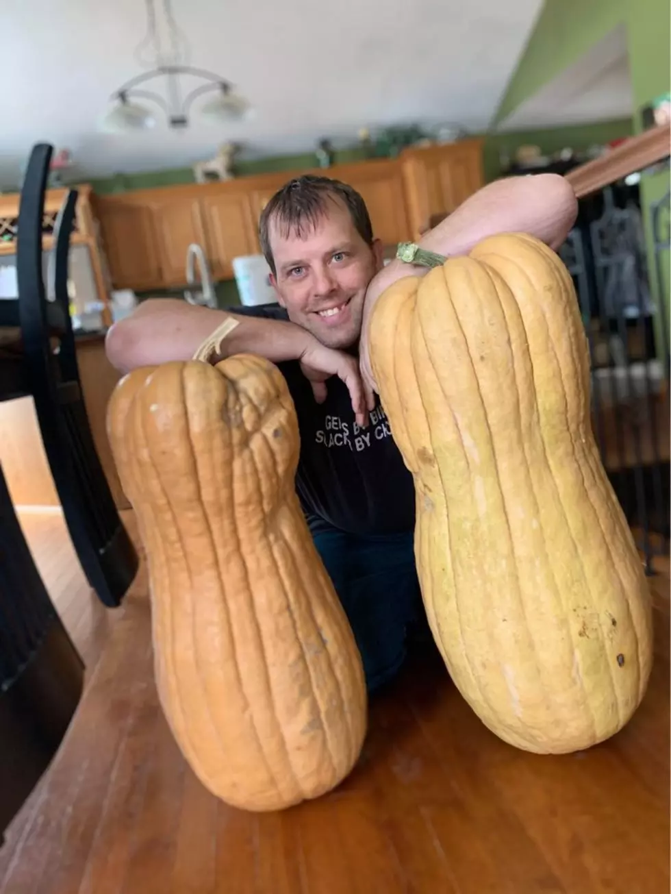 MN Man Selling Record-Setting Squash Seeds on FB Marketplace