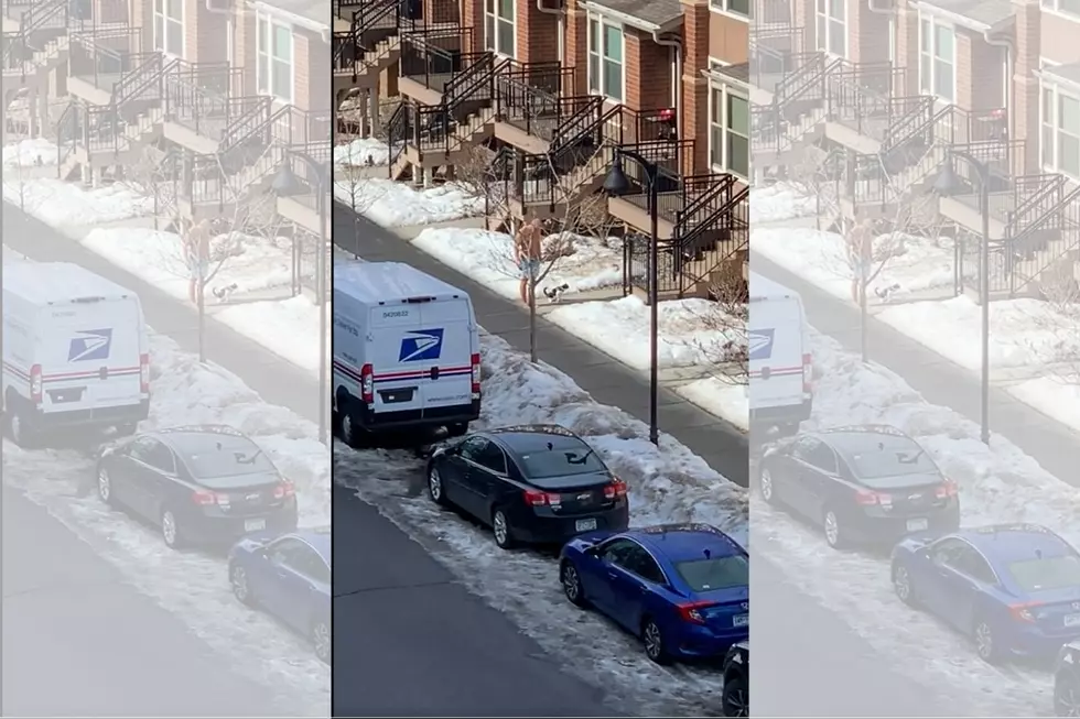 Only in MN: 45 and Sunny? Shirtless Man Spotted Walking His Cat