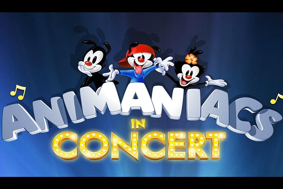 Laugh Til You Collapse at Animaniacs Concert Feb 22 in St. Paul