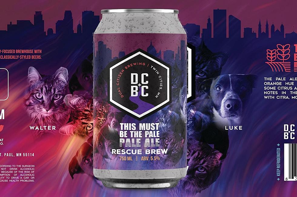 New Contest Could See Your Pet’s Face on a MN Beer Can