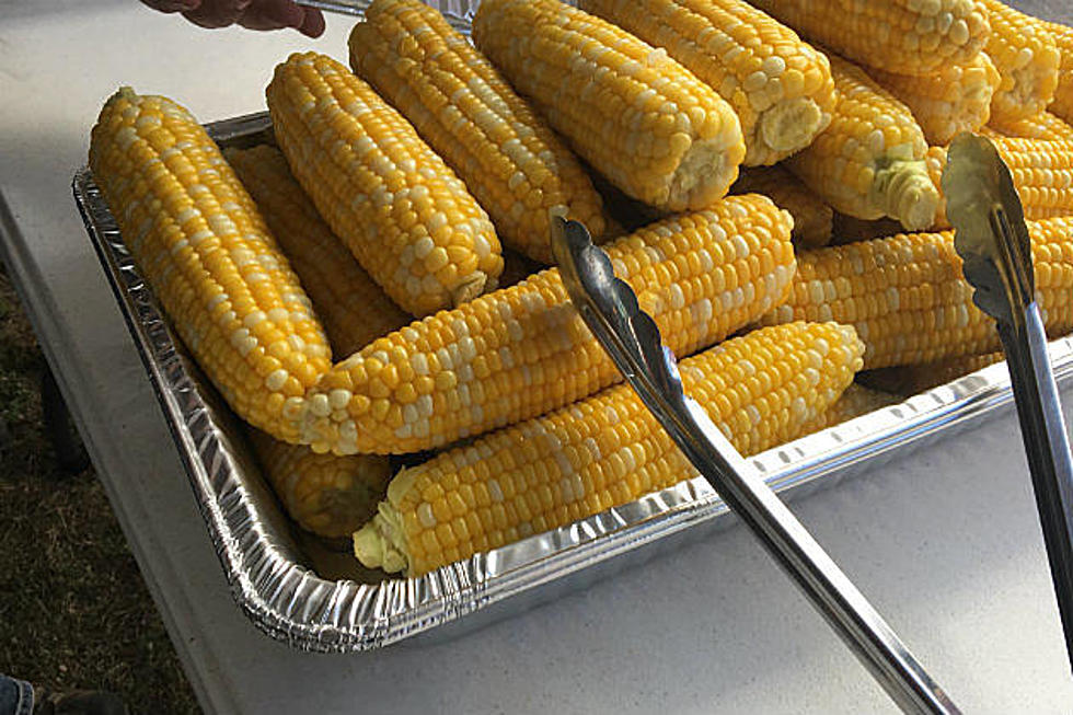 It&#8217;s Free Corn Feed Day At Benton County Fair