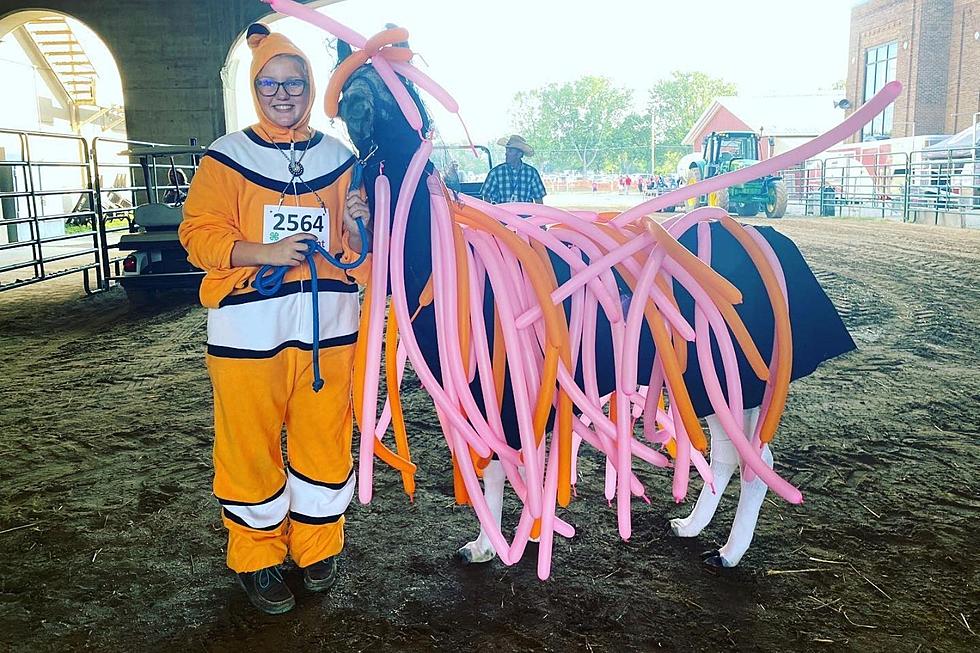 Photos of MN State Fair’s 4-H Llama Costume Contest are Everything