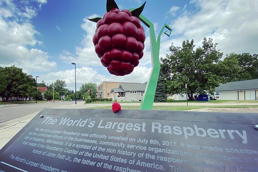Have you Seen the World’s Largest Raspberry? (It’s here in MN)