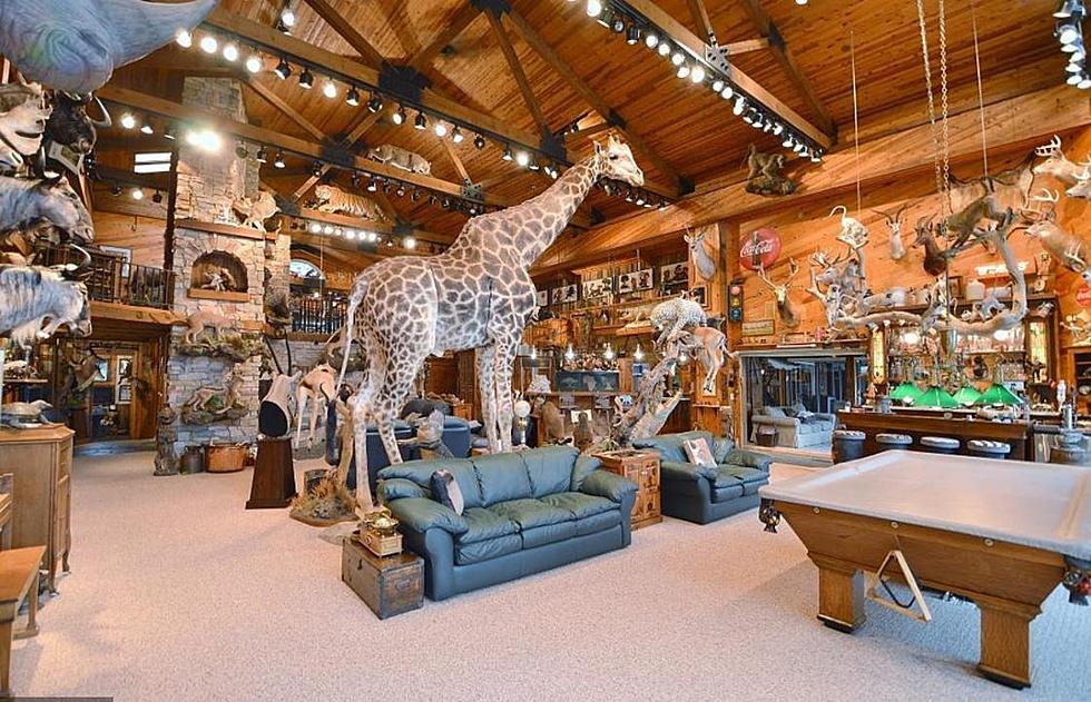 Someone Is FINALLY Buying The Famous Cold Spring Taxidermy House!