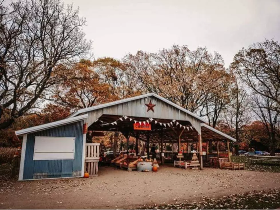 Sign Of Fall: Royalton Pumpkin Patch Announces Opening Date