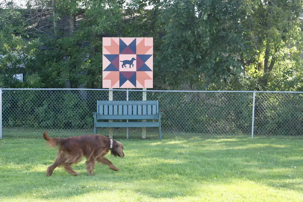 "Pawsitivity" Photo by Barn Quilts of Central MN via Facebook
