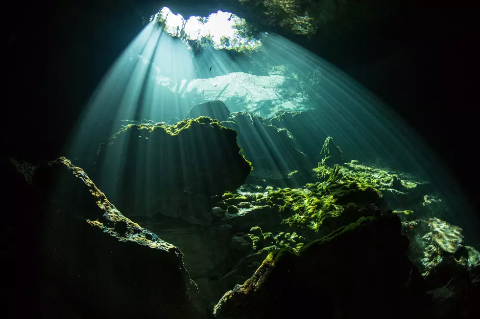 Photo by Alex Rose on Unsplash