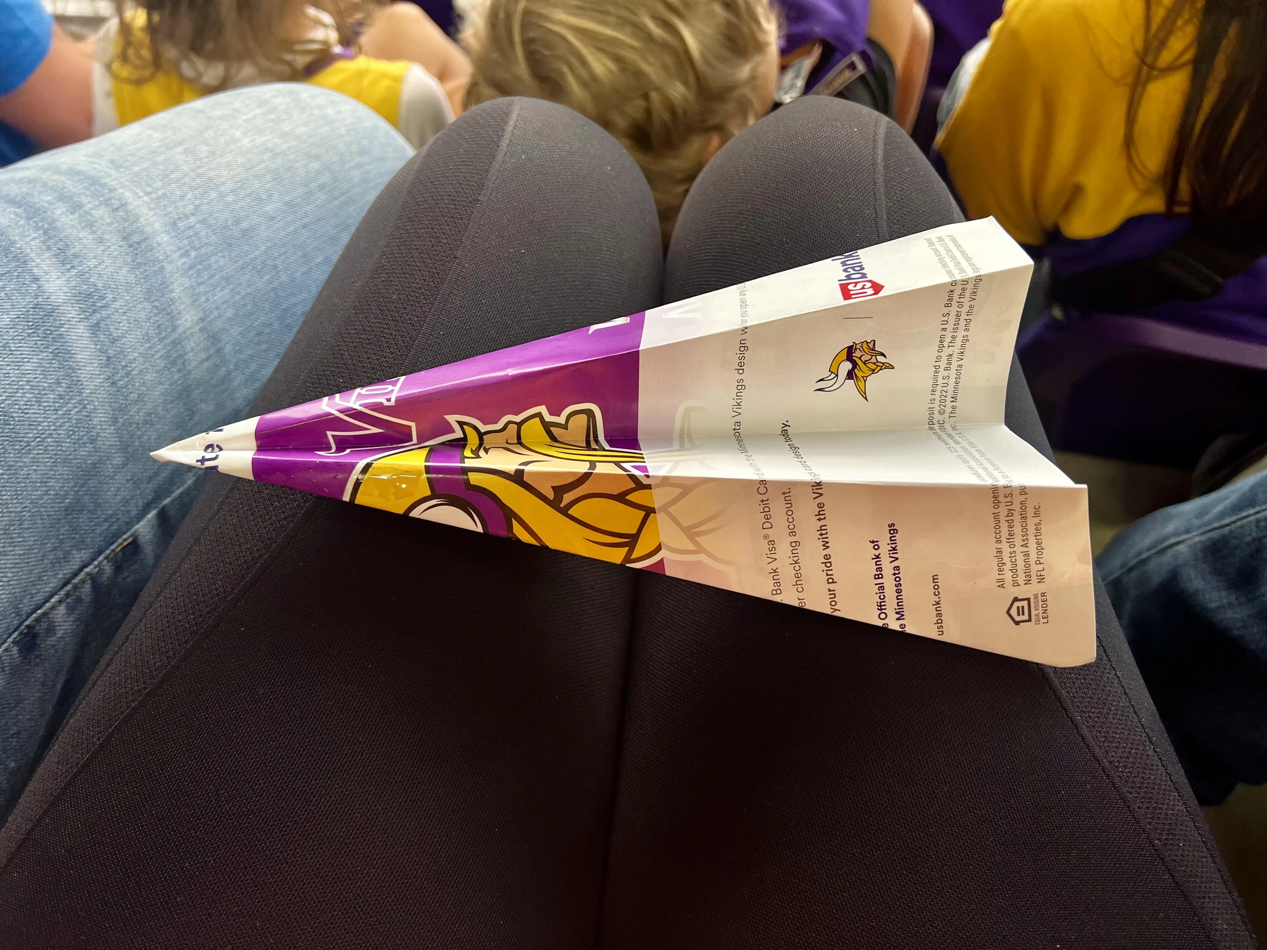 Minnesota Vikings Fan Here. Tell Me WHY You'd Do This at a Game?