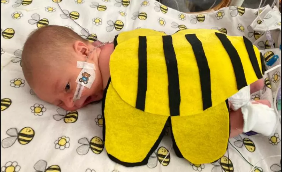 A CentraCare Nurse In St. Cloud Made THE Cutest Costumes For Babies In NICU [GALLERY]