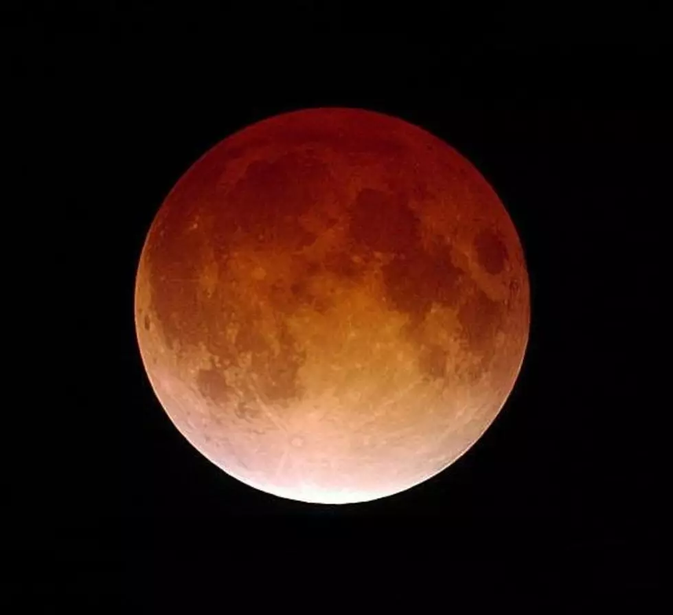 See Rare Total Lunar Eclipse for 1st Time on Important Day in MN!
