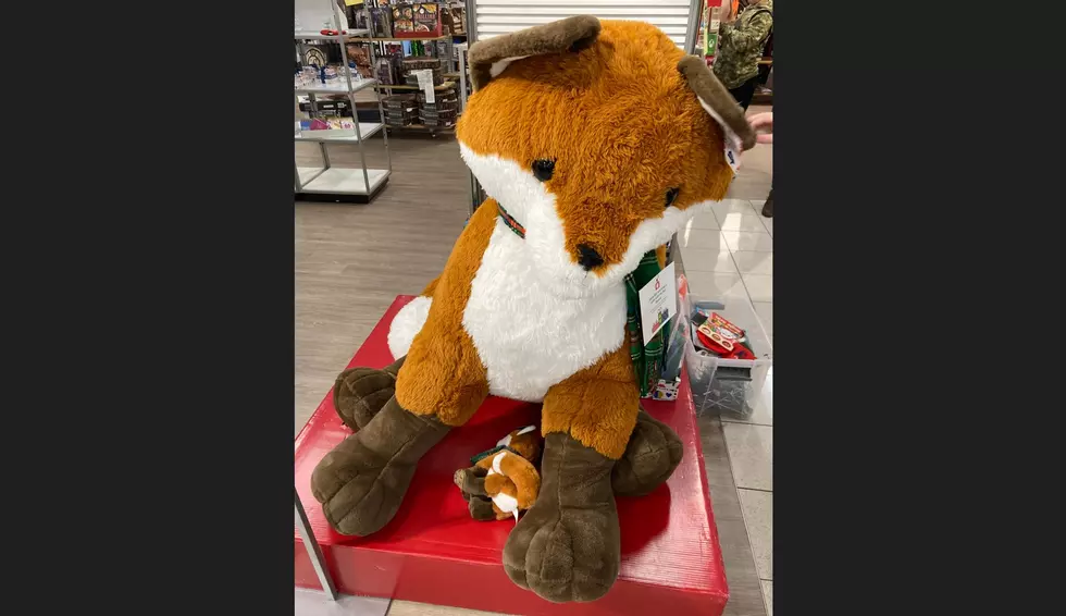 You Won’t Believe The Price Of This Giant Fox Stuffie At Waite Park Kohls