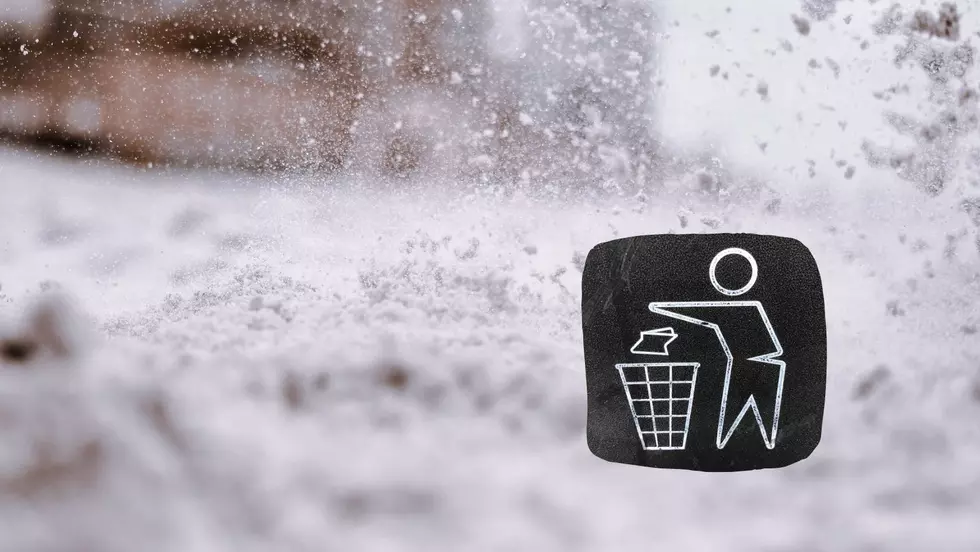 See 1 Clever Winter Garbage Trick! Leave it to Minnesota to Think it Up