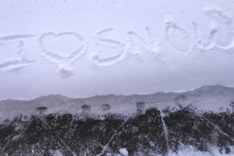 See Great Minnesota Snow Art That's About an Hour From St. Cloud!