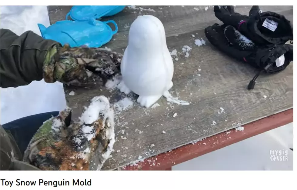 5 Easy Snow Molds I Want to See All Over Minnesota This Winter