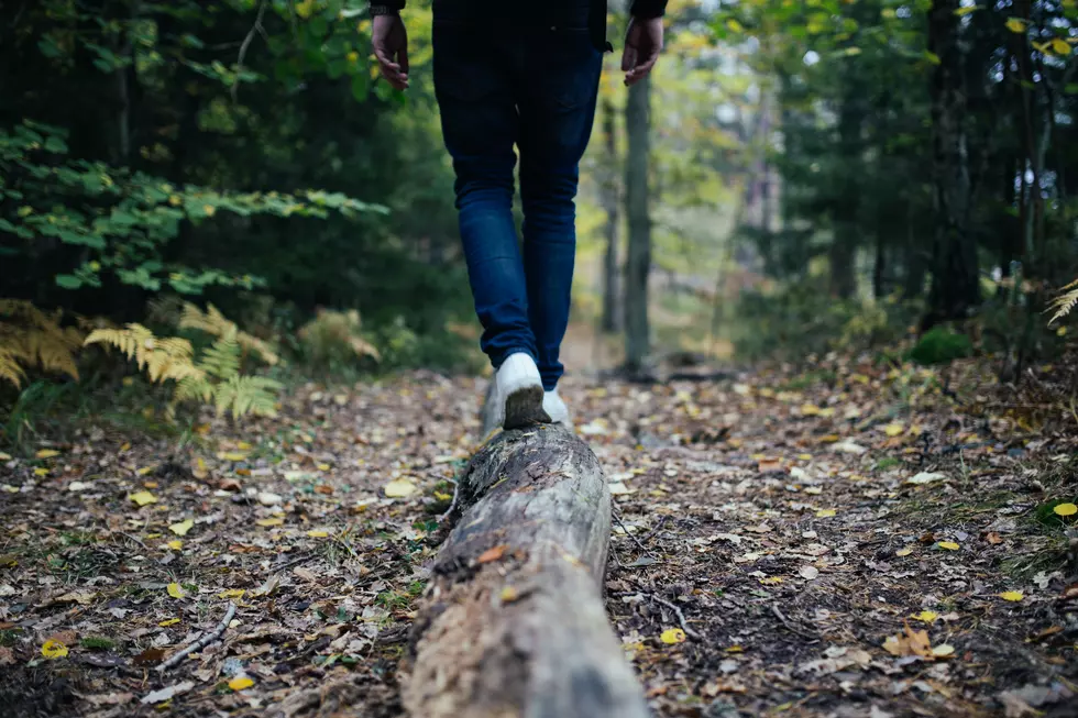 Photo by Jon Flobrant on Unsplash