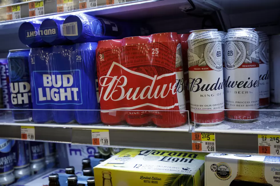 Budweiser And Bud Light Losing Market Share In U.S. As Craft Beer Continues Gain In Popularity