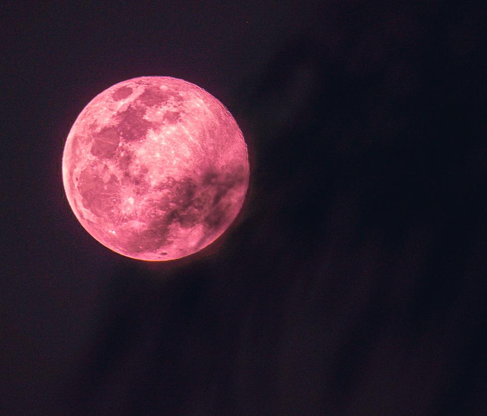 See a Full "Pink Moon" Soon in MN Plus More Wonder this April