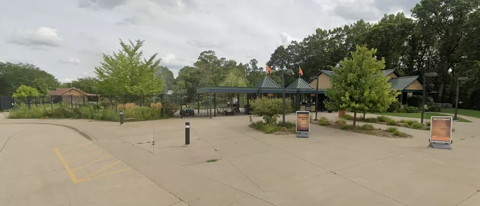 Google Earth Photo