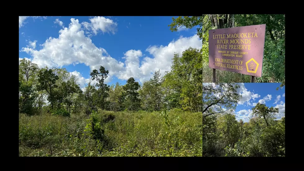 Little Maquoketa River Mounds State Preserve (PHOTOS)