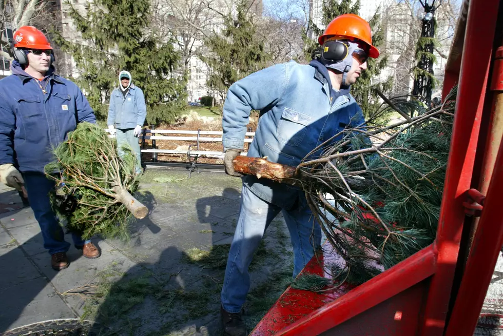 Dubuque’s Merry Mulch Program Recycles Your Christmas Tree