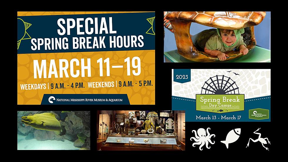 Spring Break Has Arrived at the National Mississippi River Museum & Aquarium