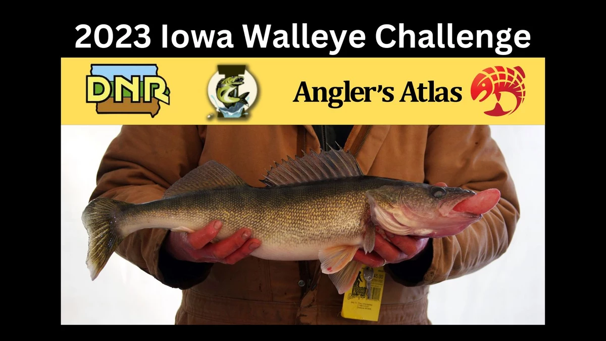 Iowa DNR Walleye Challenge Underway Through June 30th