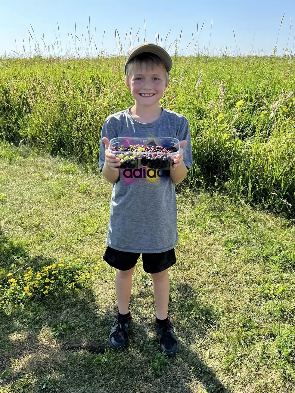 Credit: Ashley Ehlers Bennett was a great helper. Kids just need a little guidance and they will really surprise you. Sure it's "work" to find and pick berries, but they'd never know.