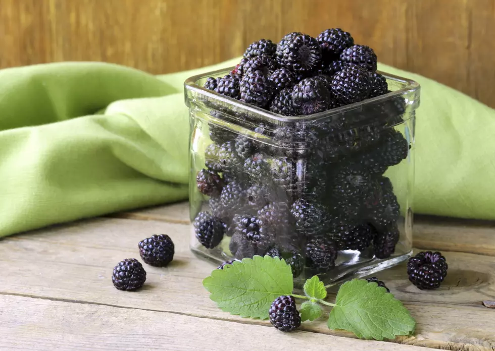 organic ripe black berry raspberry (blackberry)