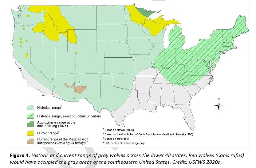 Wisconsin DNR Addresses Wolf Populations with New Plan