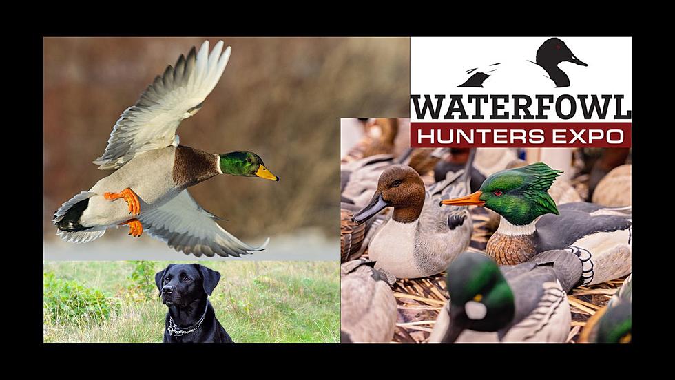 The Waterfowl Hunters Expo Takes Over Wisconsin This Saturday