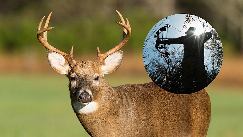 Wisconsin Deer Hunting Bow Season Opens Saturday 9/16