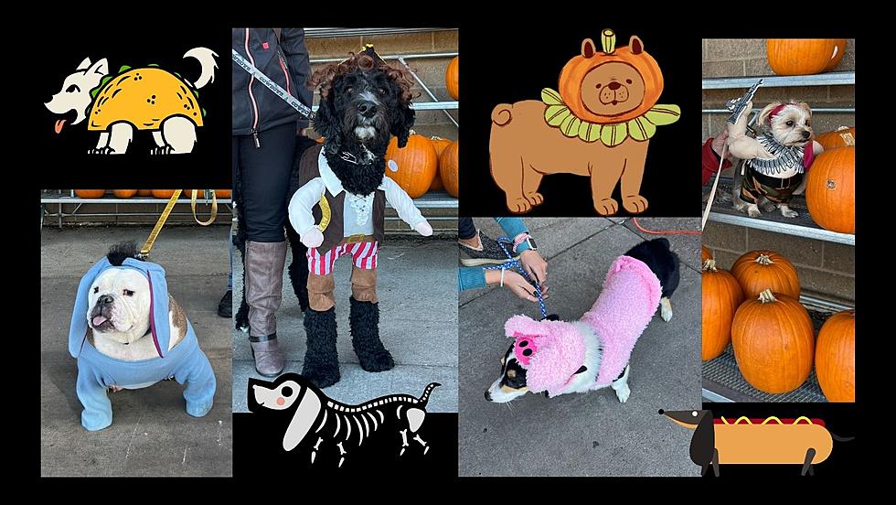 See All the Cute Pups From Dubuque Theisen’s Annual Dog-O-Ween (Photos)