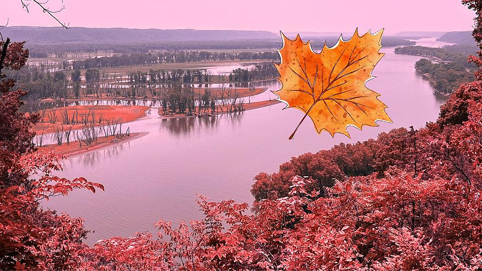 Eastern Iowa’s Must Visit Spots For Fall Foliage