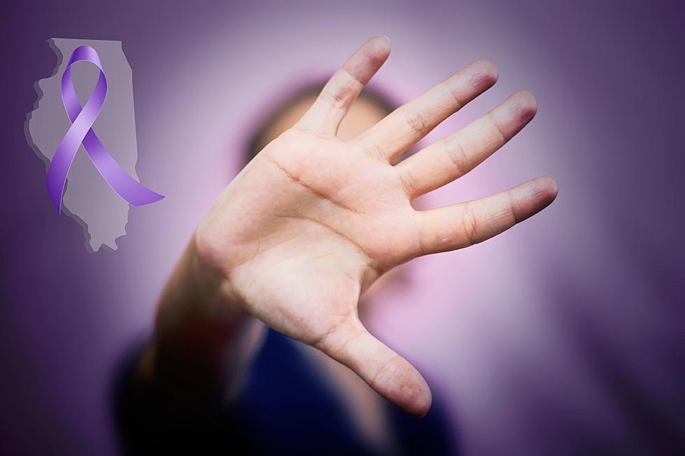 Experts Believe Illinois SAFE-T Act Protects Domestic Violence Victims