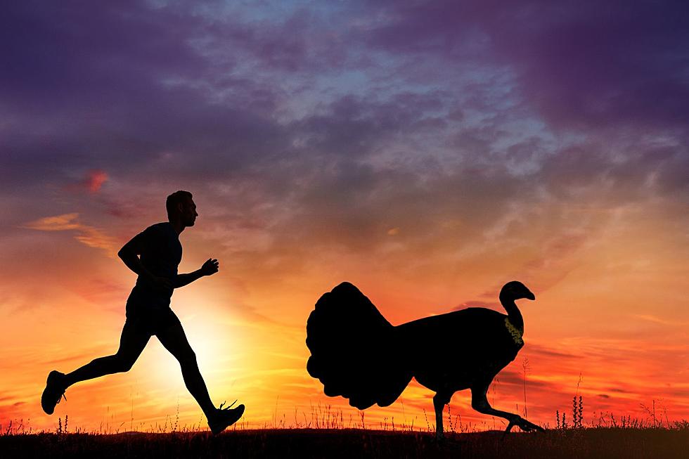 Smash Those Thanksgiving Calories at the 51st Annual Turkey Trot in Dubuque