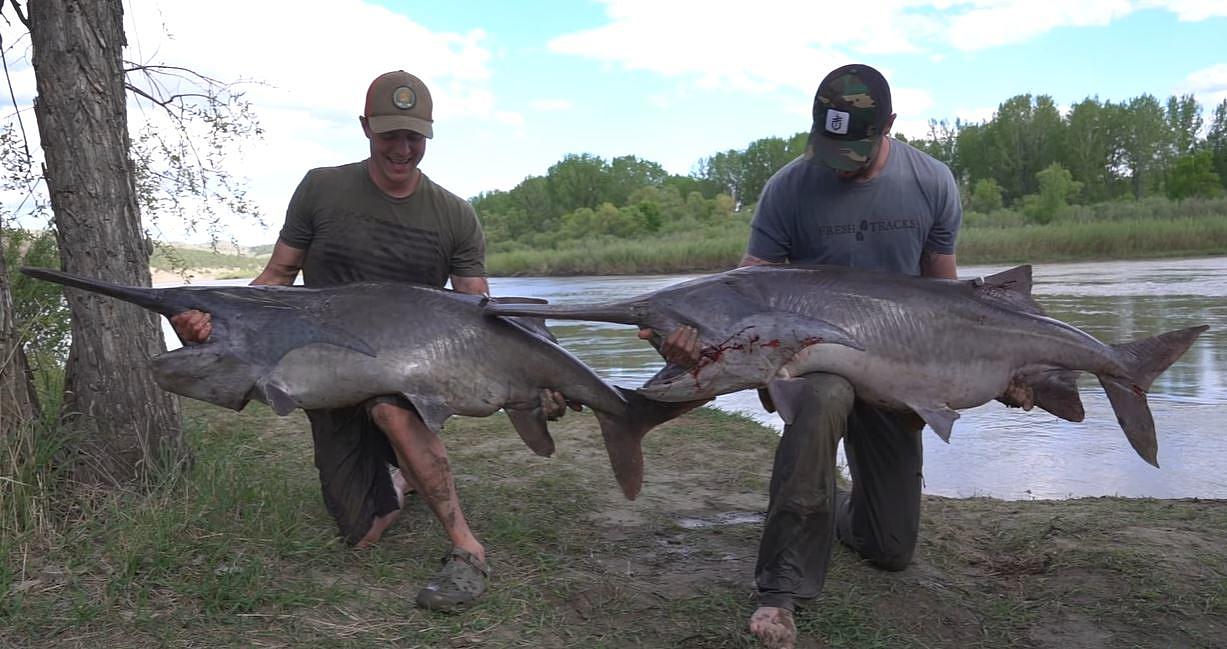 Everything You Need to Know About the 2024 Paddlefish Season