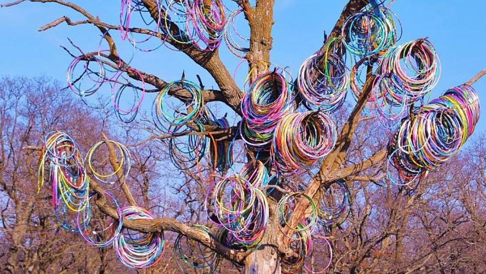 Do You Remember Amber, Iowa’s Hula Hoop Tree?