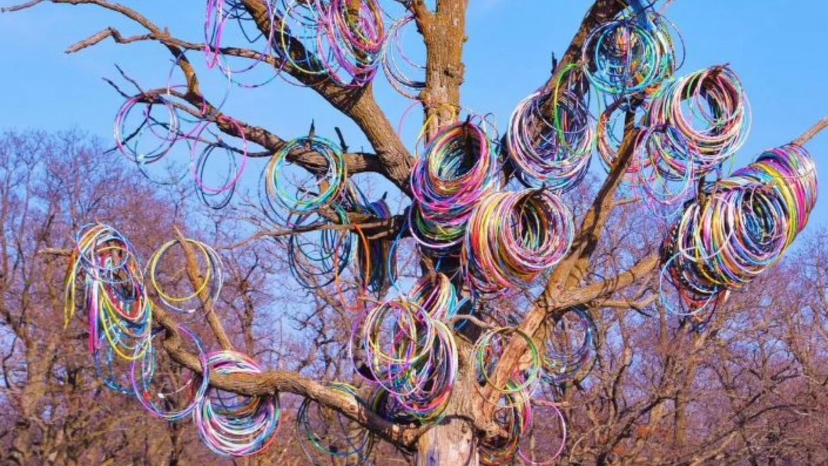 Do You Remember Iowa's Hula Hoop Tree?