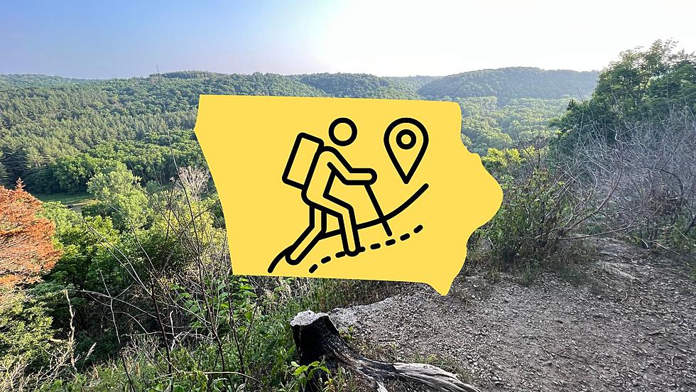 Iowa’s Top 7 Forests to Hike, Camp, and Enjoy in 2024