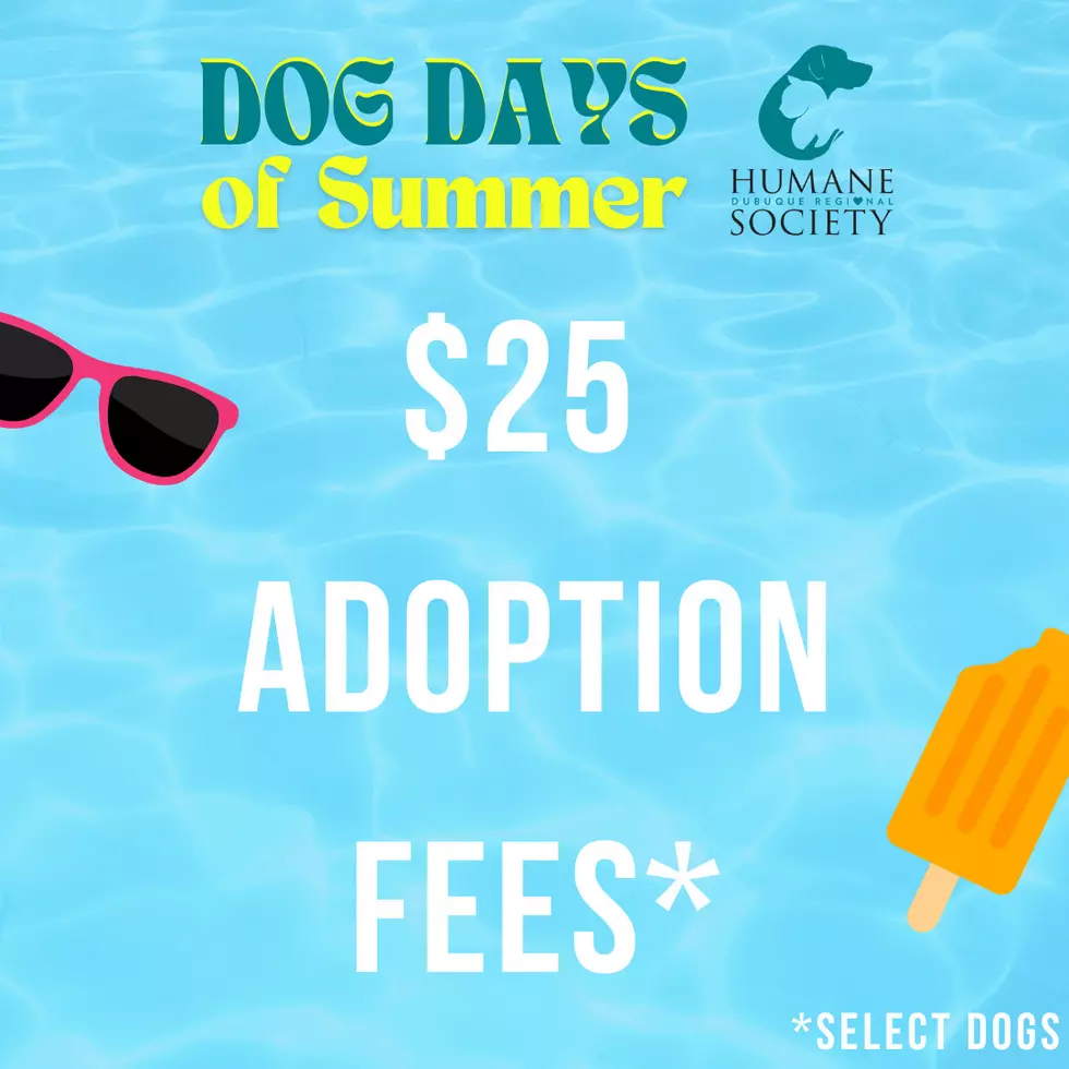 Credit: Dubuque Regional Humane Society