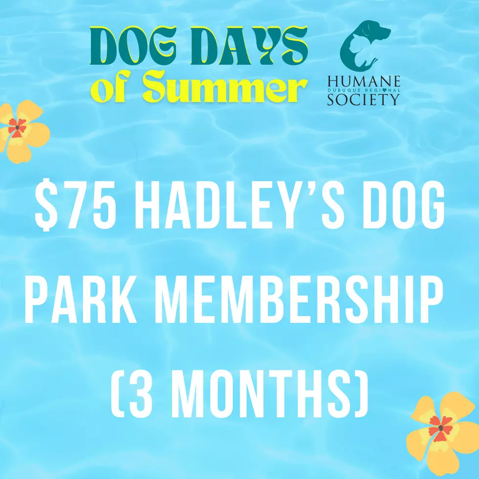 Credit: Dubuque Regional Humane Society