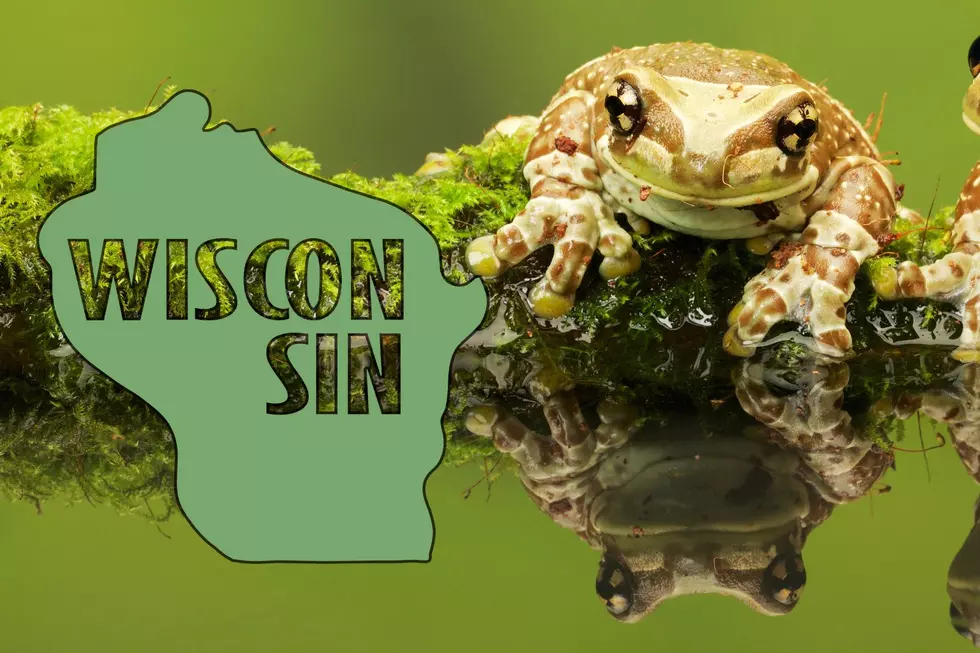 Amphibian Week Hops into Wisconsin